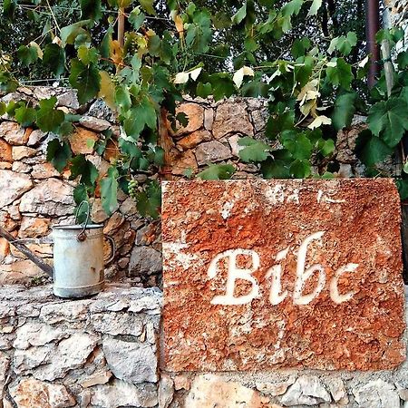 Bibc Wine & Holiday Τεργέστη Εξωτερικό φωτογραφία